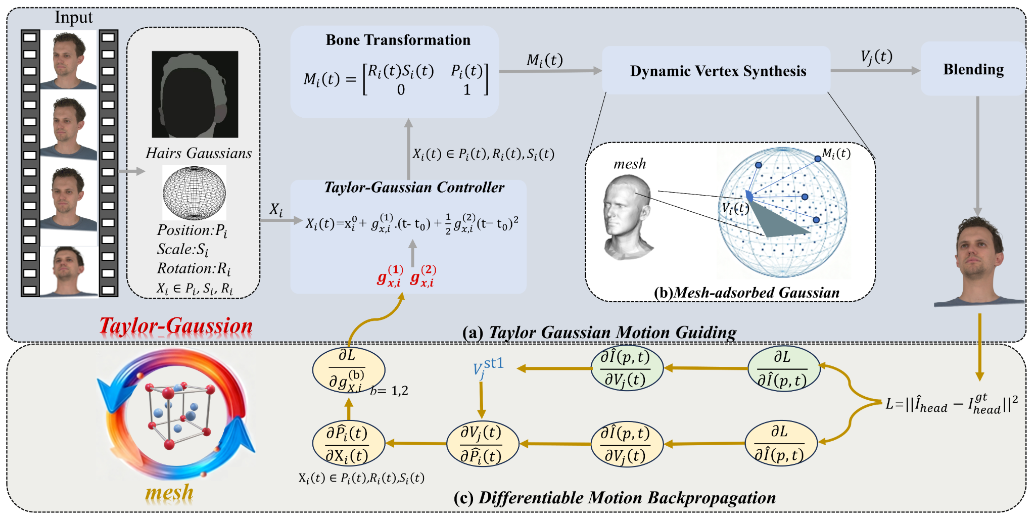 TGMF framework figure